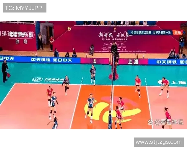 2026排球团队协作排名：上海排球队创新高