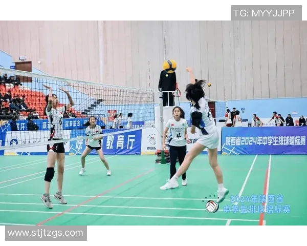 排球巨献：探秘武汉排球队的状态