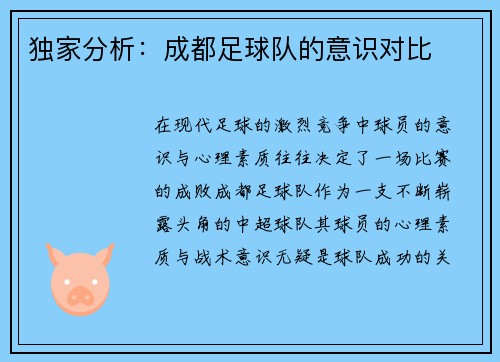 独家分析：成都足球队的意识对比