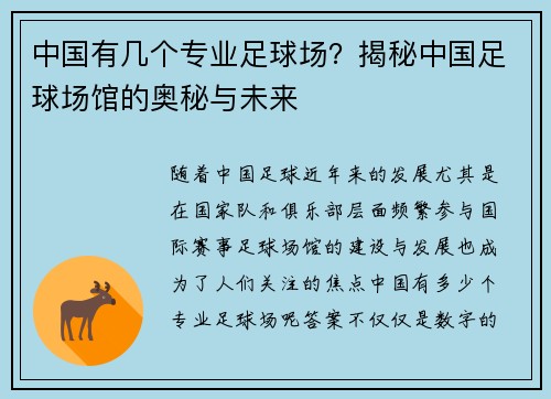 中国有几个专业足球场？揭秘中国足球场馆的奥秘与未来
