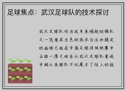 足球焦点：武汉足球队的技术探讨