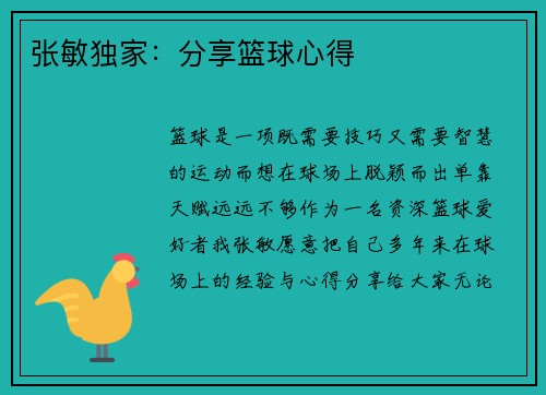 张敏独家：分享篮球心得